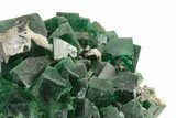 Fluorescent Green Fluorite Cluster - Rogerley Mine, England #243212-2